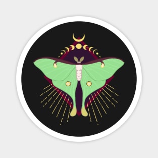 Luna Moth Magnet